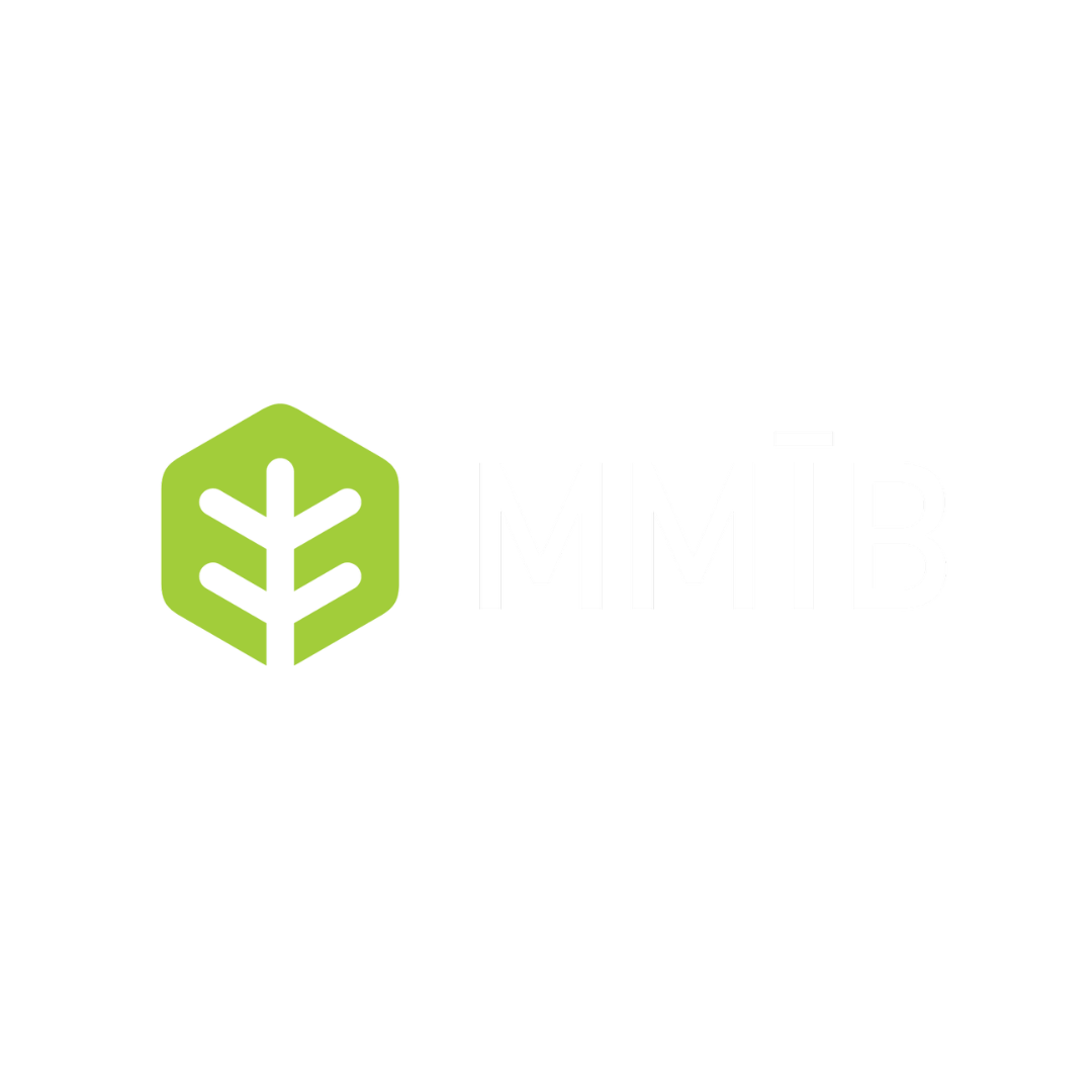 MMIB